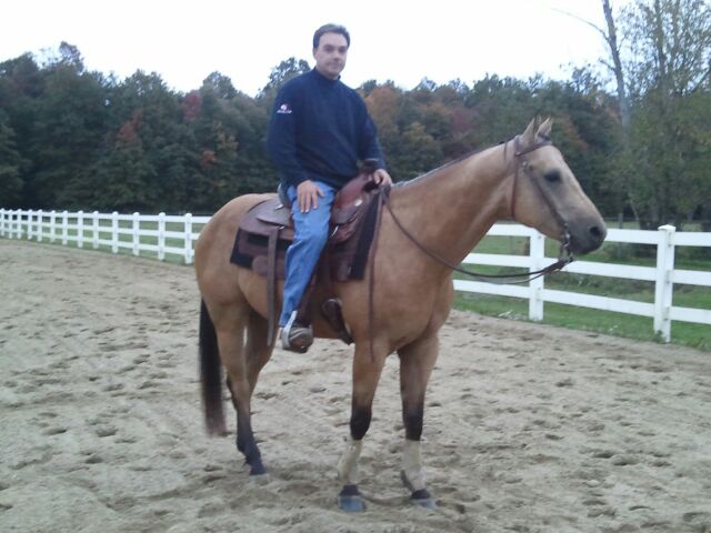 4 yr old buckskin gelding.  Well started and ready to go in any direction