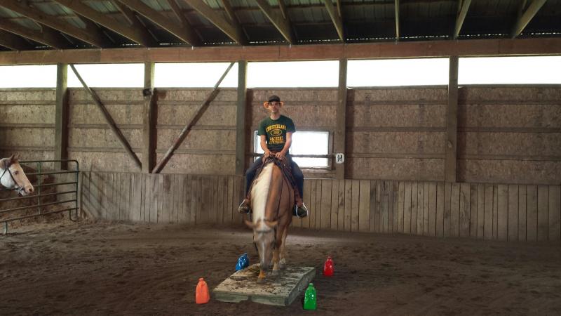Vince on Chiquita at the 2016 North Star Equestrain Center Obstacle Clinic